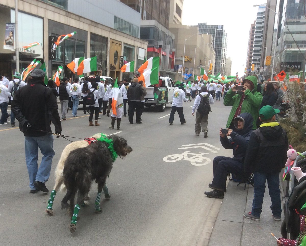 cavanagh_danny's tweet photo. Irish doggies joined the march down Bloor St today
#StPatricksDayParade #dogs @BloorYorkville @StPatricksTO #Toronto https://t.co/UtRLF04xlT