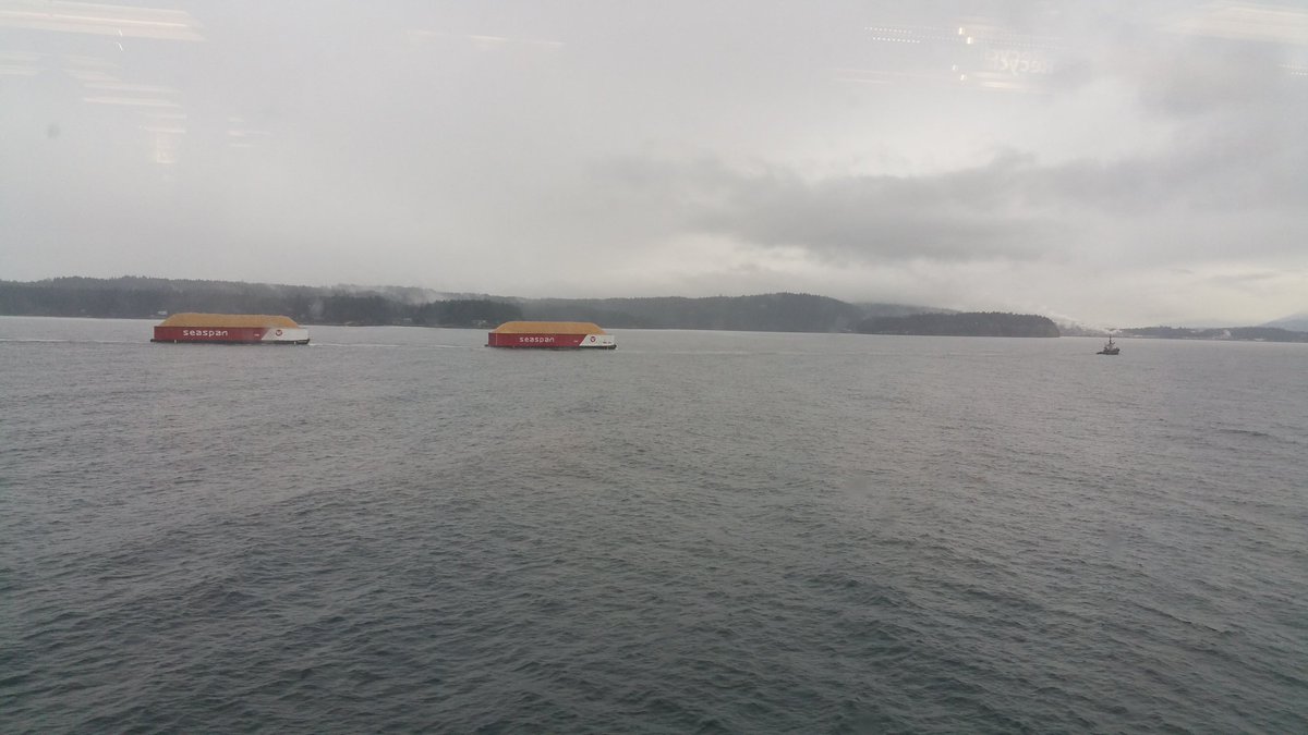 NightStormDraco's tweet image. And just like that, the vacation is almost over... #TakingAnotherWeek #MaybeTwo #BackInJuneish