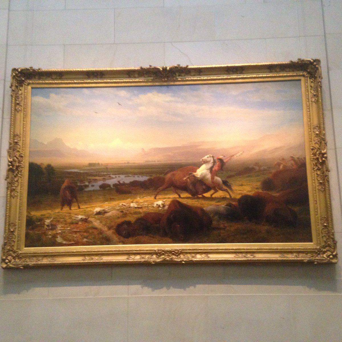 renee_joynes's tweet photo. This museum is free to get into so everyone has equal opportunity to come #8thgradedc #learnsharelive https://t.co/H145YZPu8w