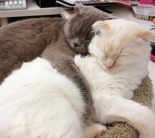 emblemquestion's tweet image. Keaton posta essa foto marcando você com a legenda "nap time 💓" o que vc comentaria