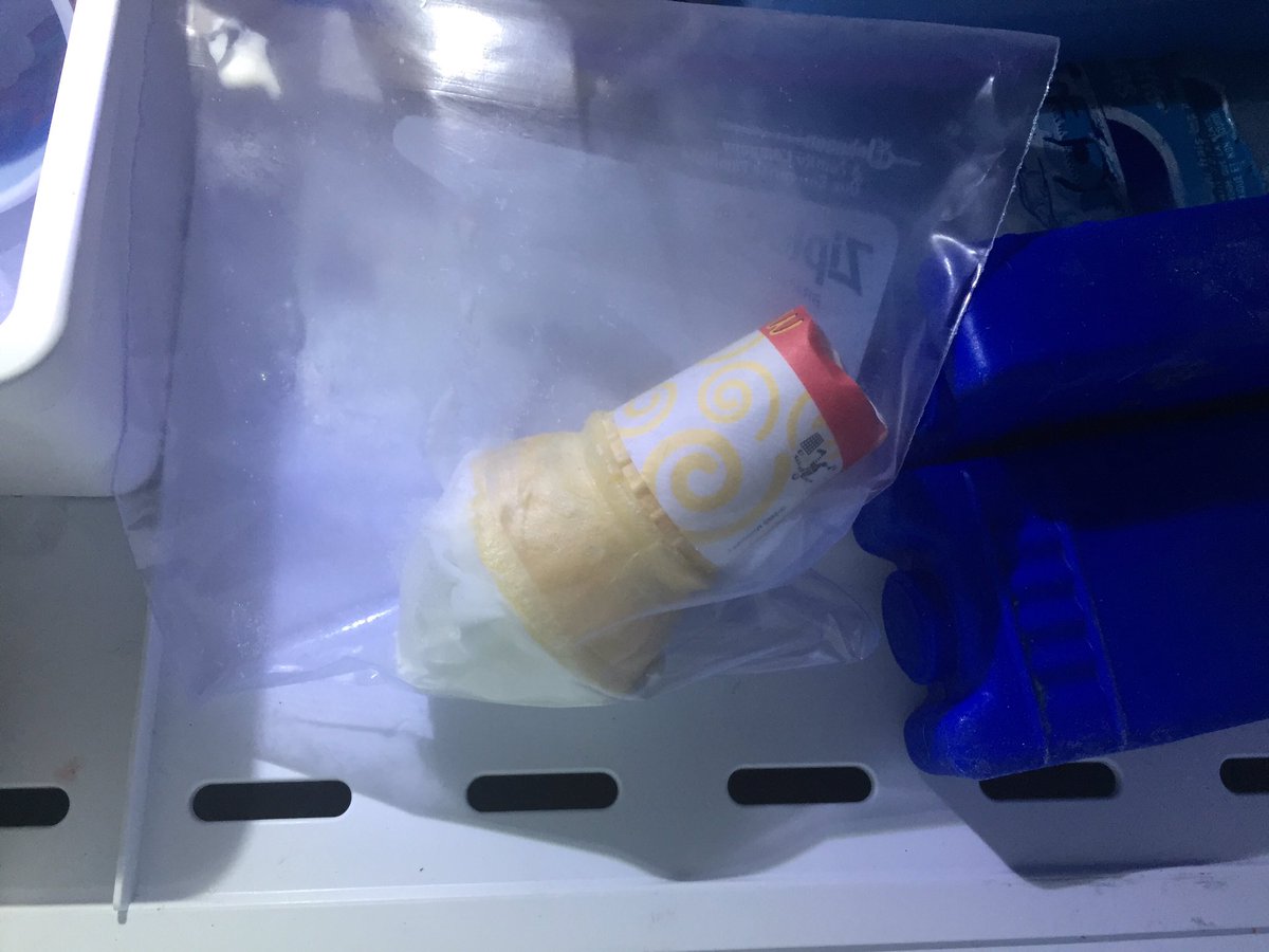 MooseNucks's tweet photo. My Daughter stashed her ice cream in the freezer hahahaha she kills me! #savingthatforlater https://t.co/YHTy2xRXCn