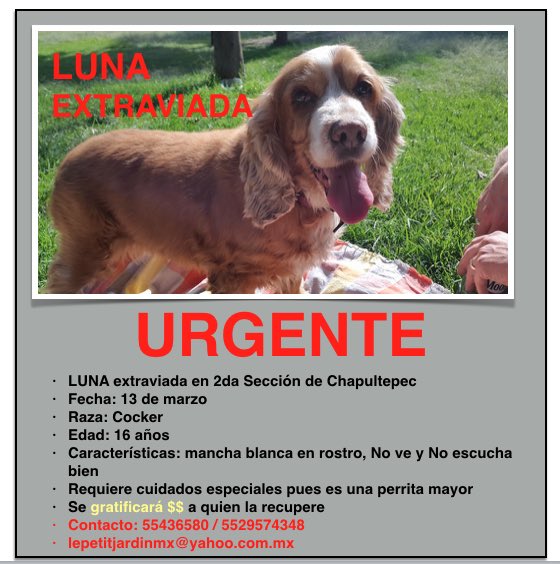 BerryBrenda tweet media