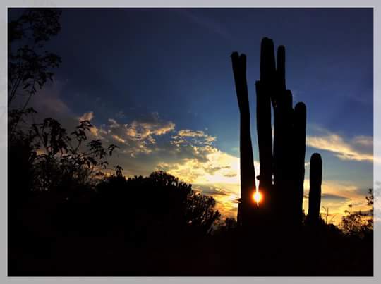 ferrerfrancisc2's tweet photo. Hermosas mañanas y atardeceres
#mipueblo https://t.co/eaEchjuAS8