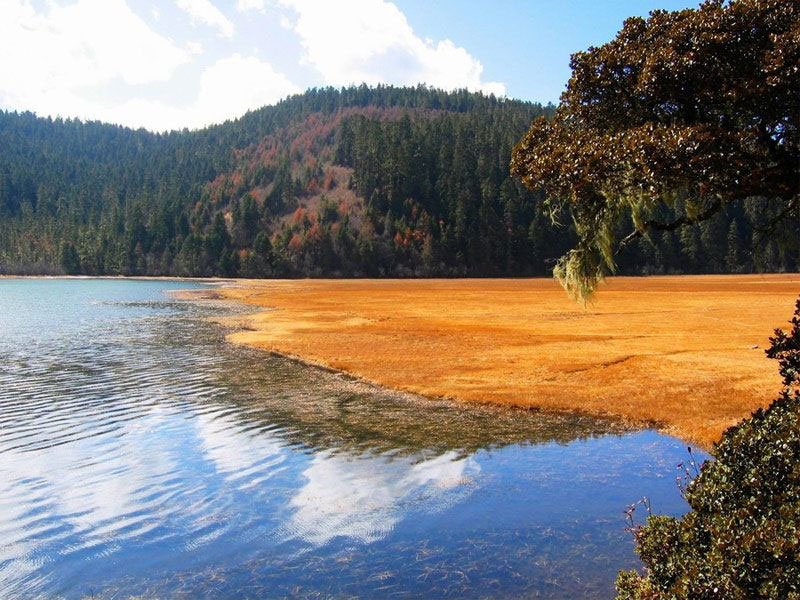 YunnanAdventure's tweet photo. Yunnan Tours

https://t.co/OFHLJ7iuZt https://t.co/FwxDzhJBtB