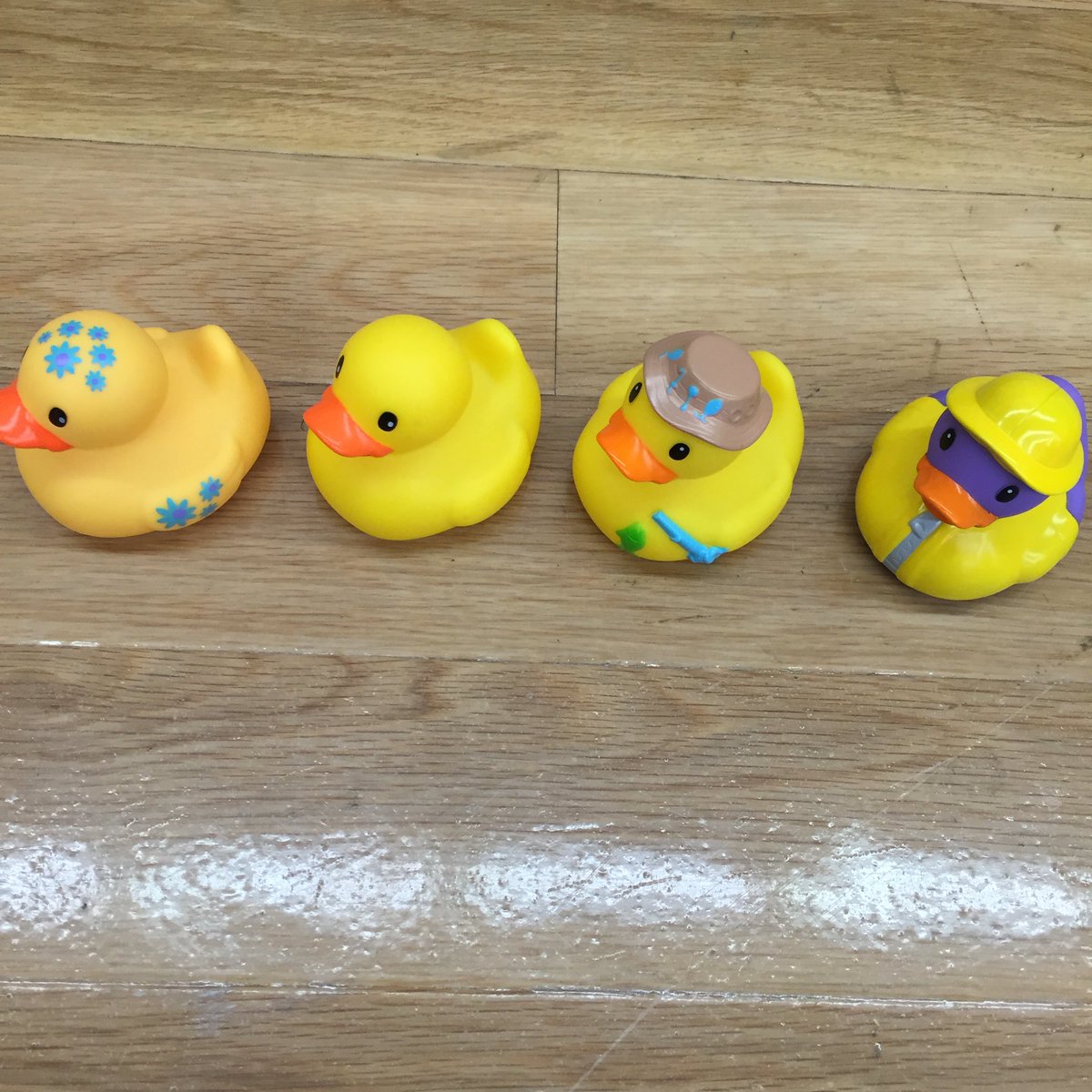 TheDogRose's tweet photo. @7FAM I have all my ducks lined up in a row #foolproofyellow #contest https://t.co/5QUzAjmVCY