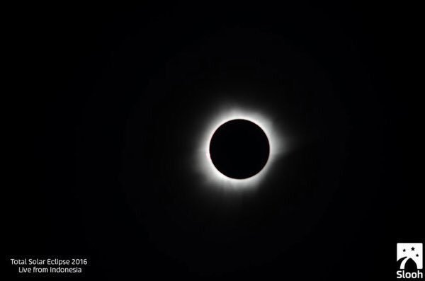 Primera_Plus's tweet image. webcamsdemexico : La perfección de la naturaleza. El #Eclipse2016 de esta semana, en su má… )