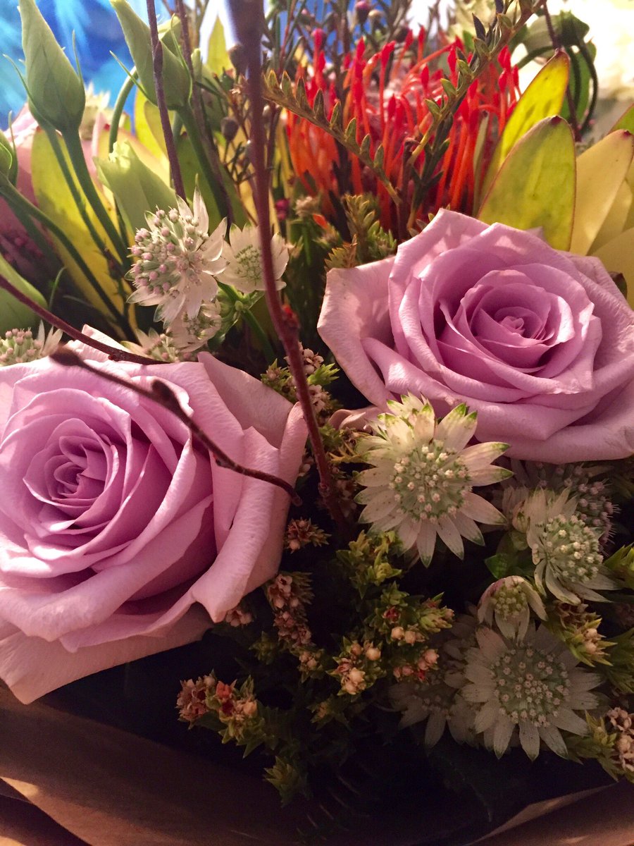 <a href="/bluebellsflower/">bluebell flowers</a> email us for orders bluebellsflowers@yahoo.co.uk