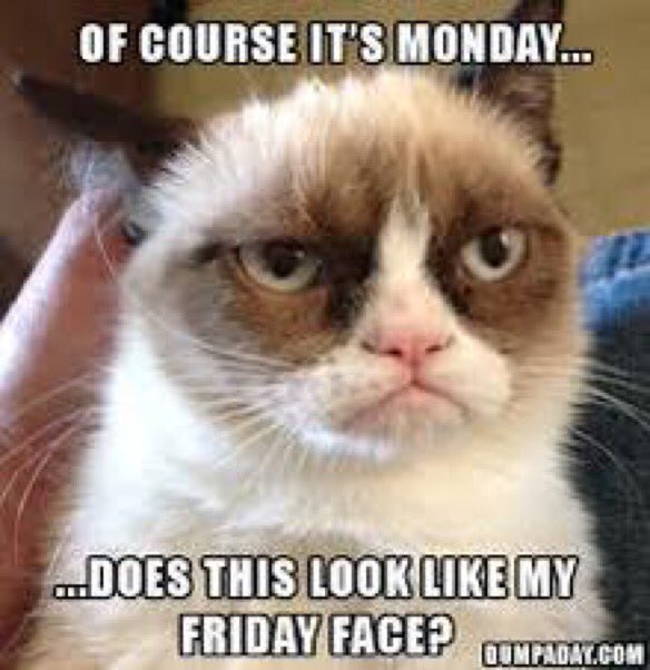 JannaLinde's tweet photo. Monday https://t.co/u87vLQoc4I