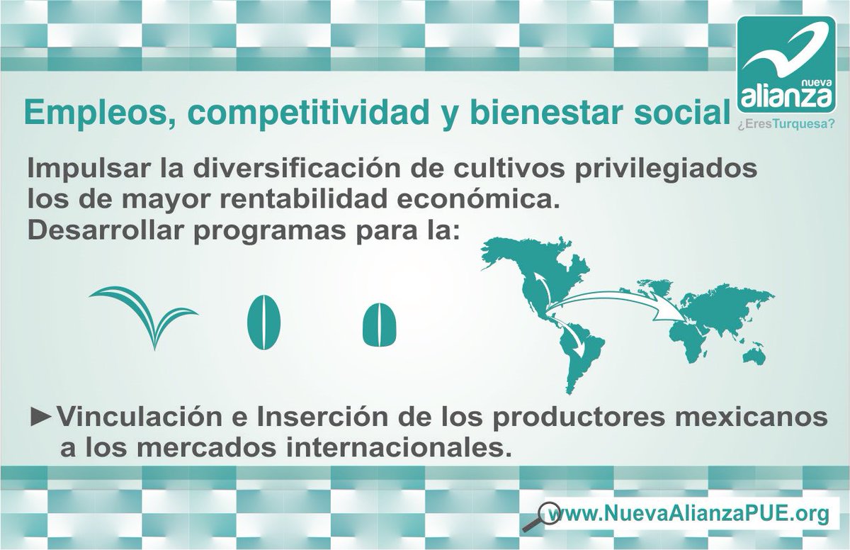 29_raulb's tweet photo. @NuevaAlianzaPUE Impulsando los cultivos mexicanos. #SoyTurquesa 🌽📈 @AliDigitalPUE #Coyomeapan https://t.co/pddzzhlH20