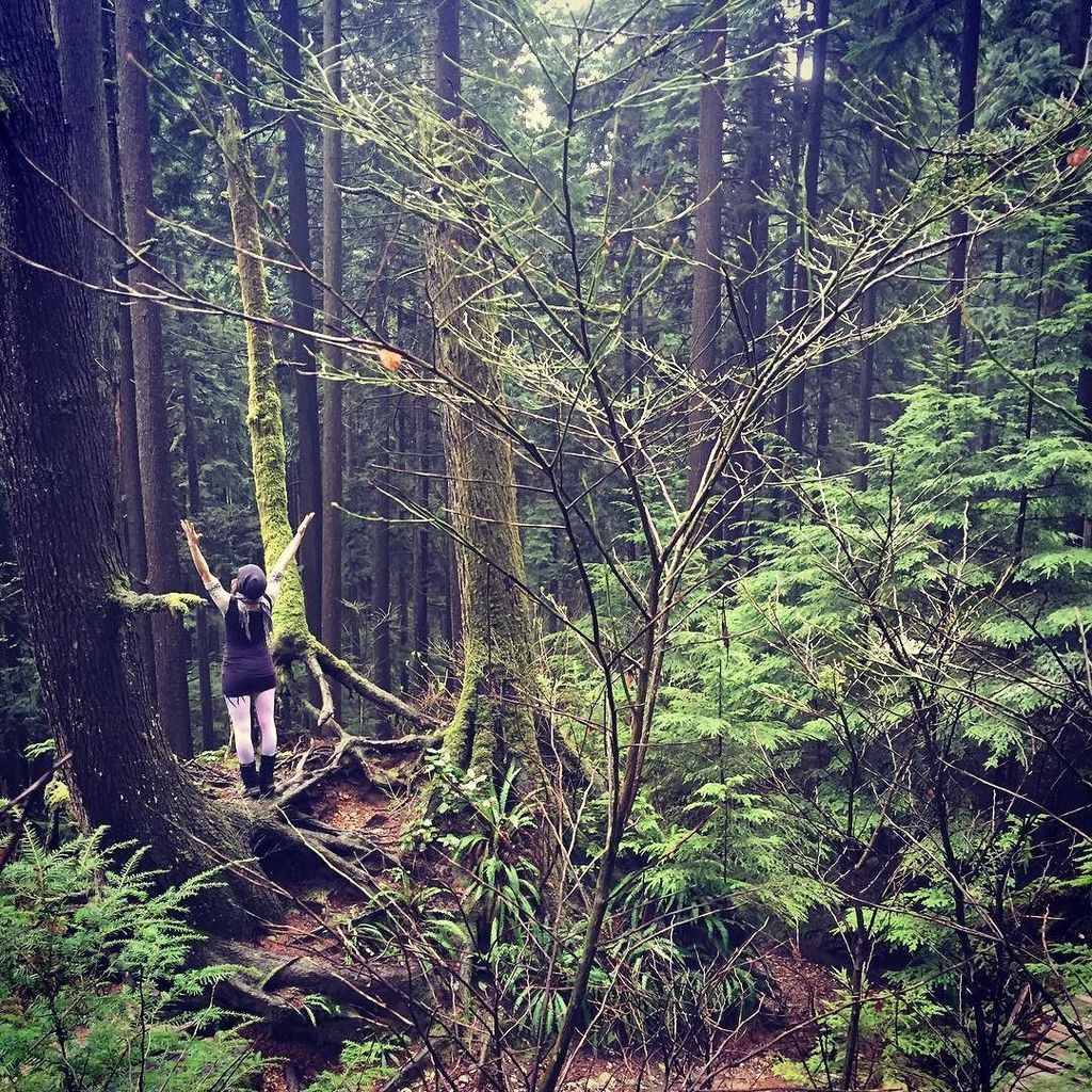MeditationStars's tweet photo. Don't forget to breathe 🌲🌲🌲 #bcrainforest #nature #therapy #explorebc #breathe #meditation… https://t.co/I3130NxDPB https://t.co/3i2KXzjMtP