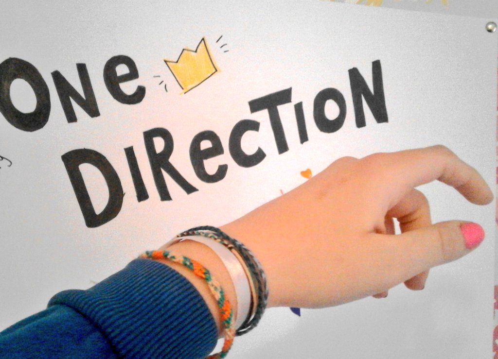 killjoyuqn's tweet image. #DirectionerDay 
#OneDirection 
Дирики, вы самые бэст ♡