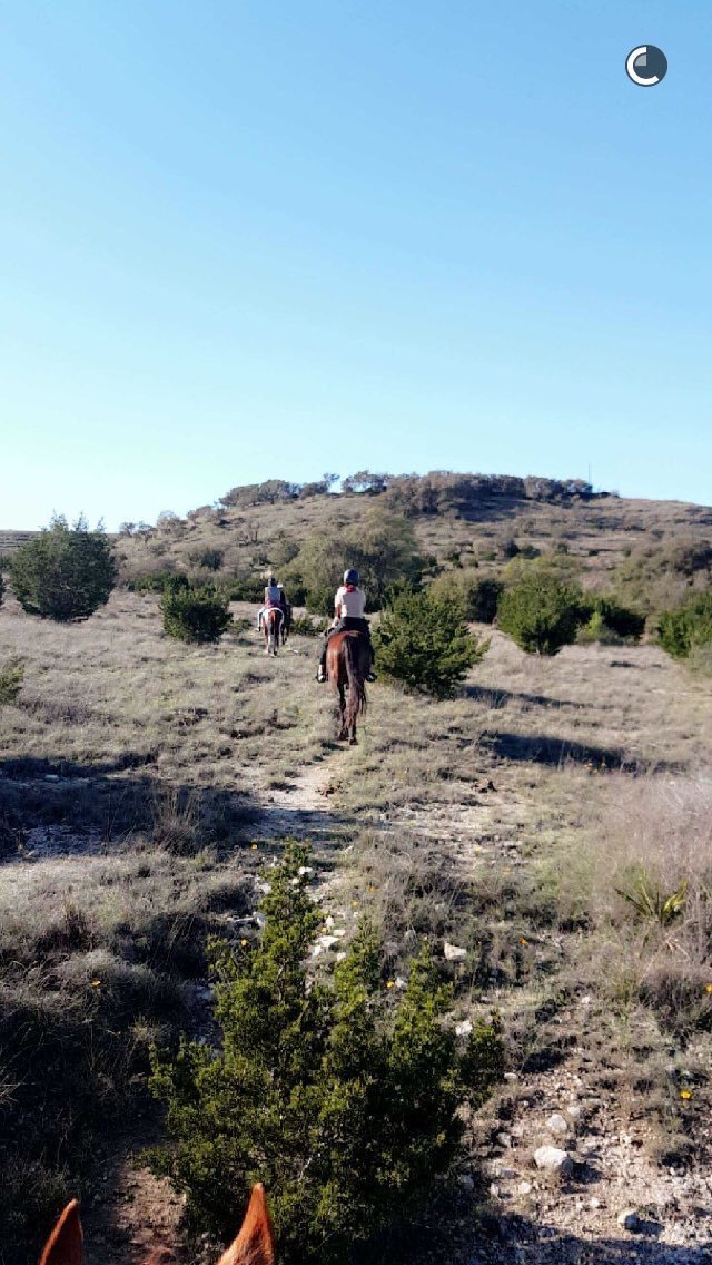 EleanorDiamonds's tweet image. Eleanor posted these on Instagram &amp;amp; Snapchat 🐴👸🏻