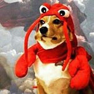 NoMe_Simpatizas's tweet photo. #dankmemes #cringe #weed #emo #johncena #niggers #cancer #spicy #killyourselfplease #killme #edgy #vaporwave https://t.co/oG3VZOffVa