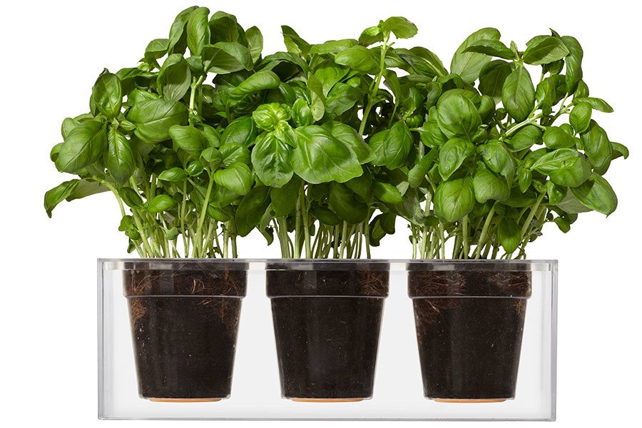 10 easy steps towards a greener home: archdg.co/pS8tcxk