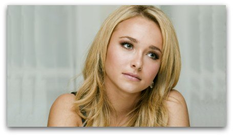 Splendid Wallpaper tweet media