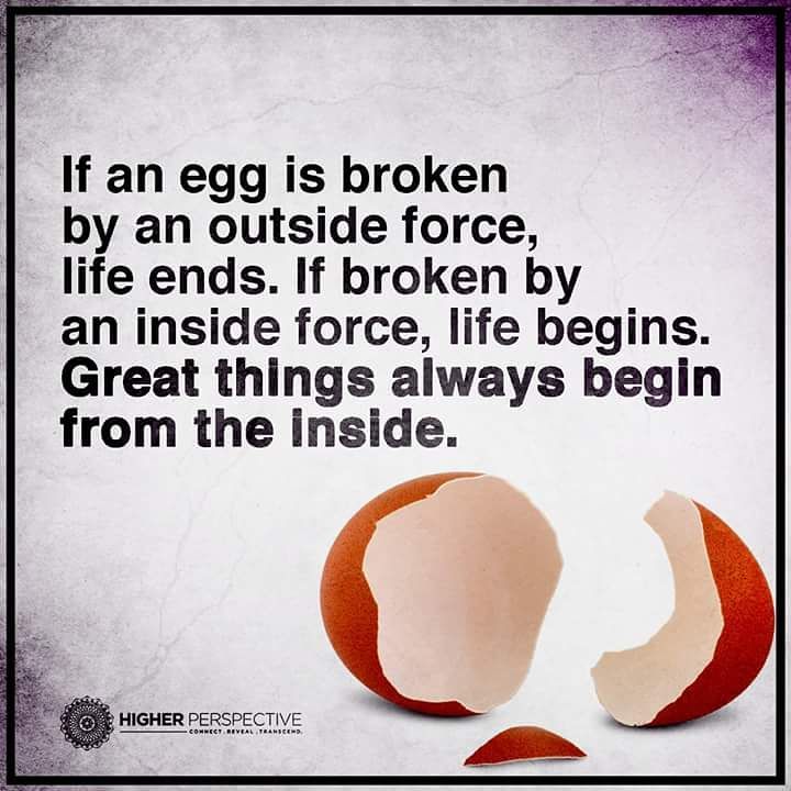 Omega1Fitness's tweet photo. A perfect analogy here, success, growth and change comes from within oneself!
#change #better #happy #results https://t.co/Oa24BnKU8w