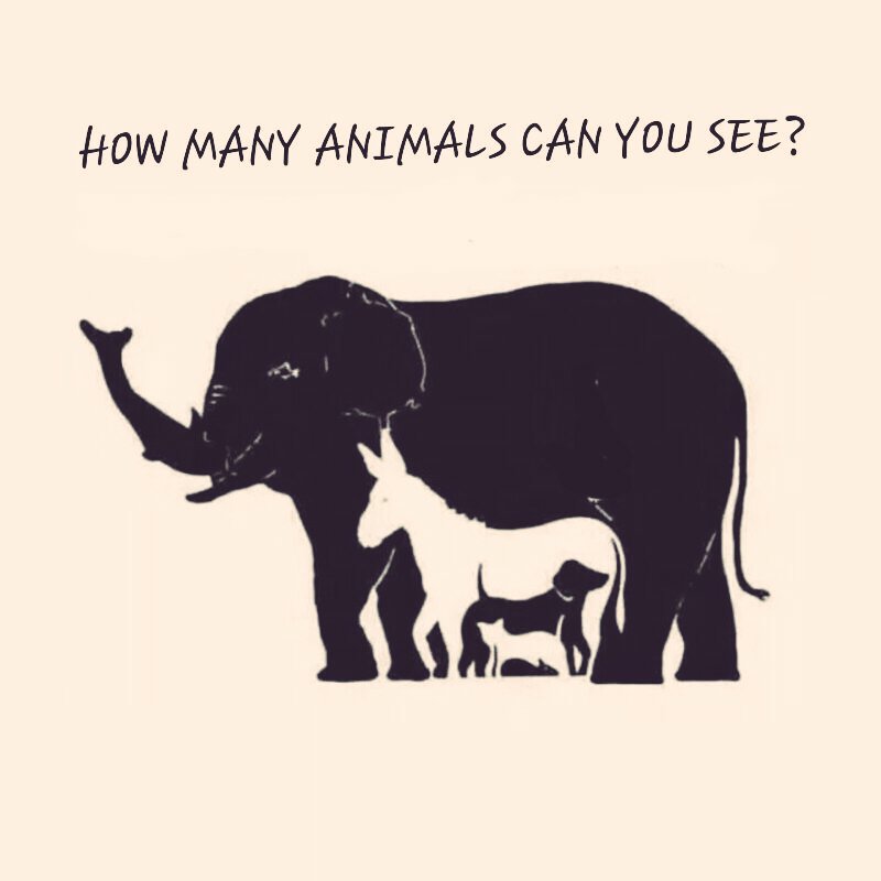 DarwishEmmer's tweet photo. Who can give me the answer https://t.co/2J0S6g46VB