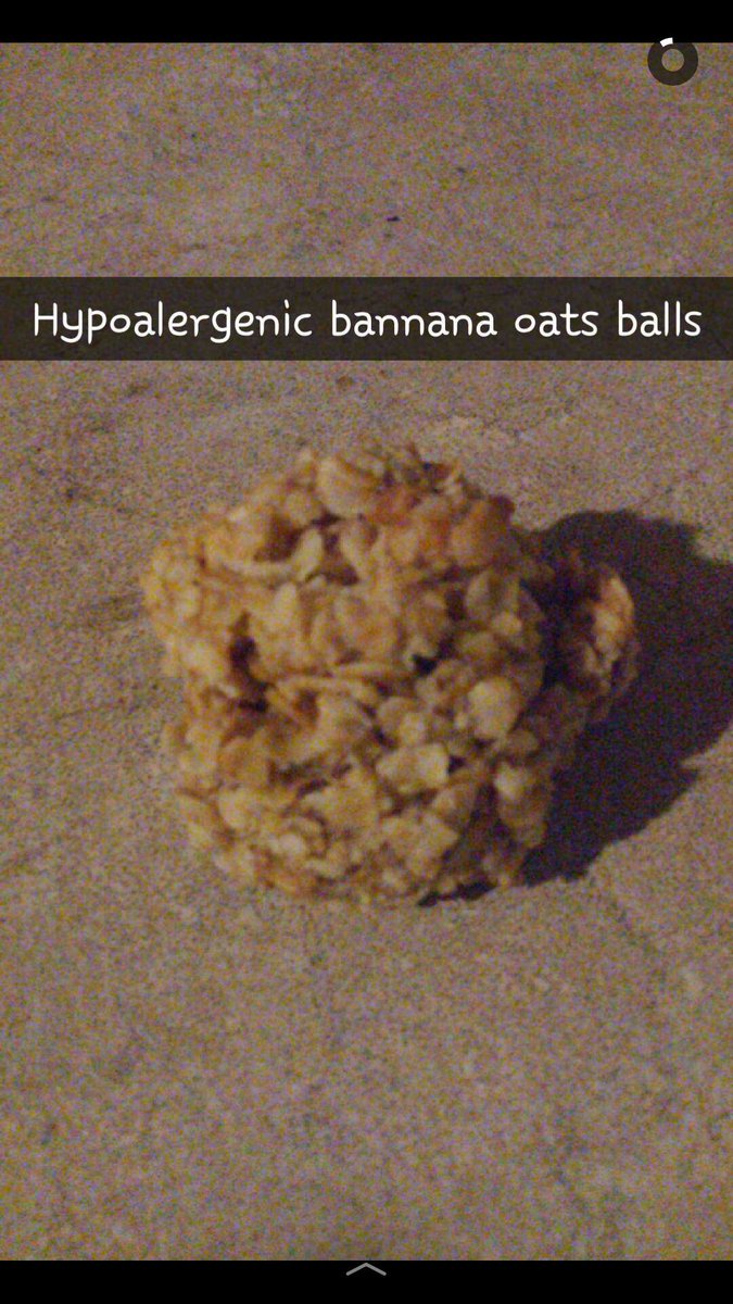 Pawstries Dog Treats tweet media