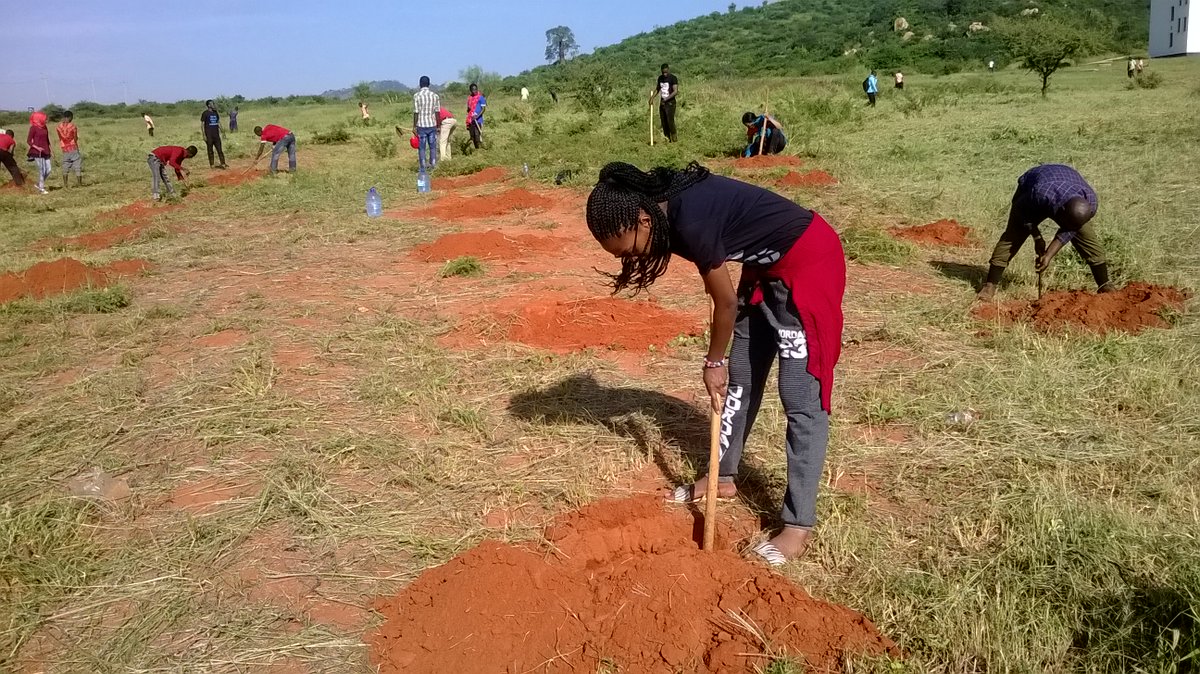 RotaractDodoma's tweet photo. @RotaractDodoma #rotaractors digging holes to plant trees as our first project. Go Club Dodoma!
#WorldRotaractweek https://t.co/N6dPpkNlUt