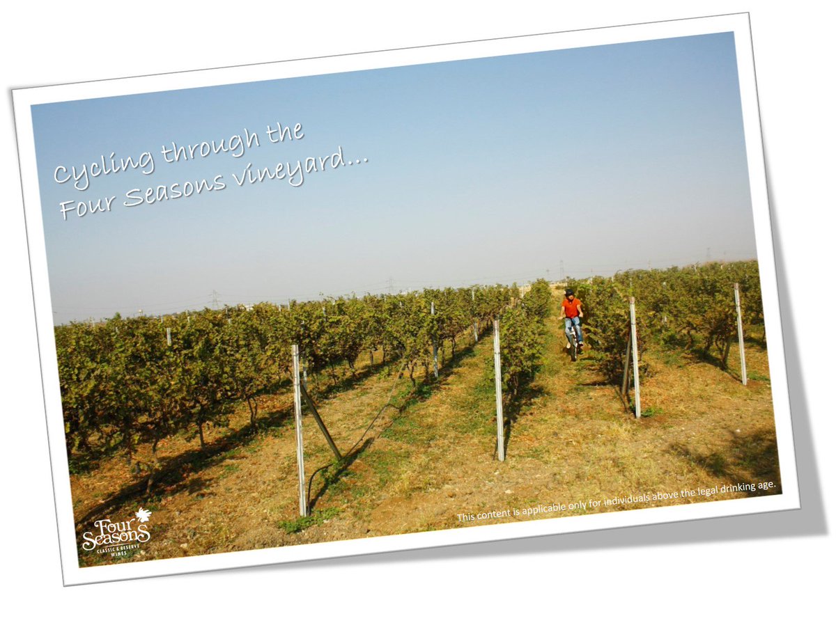 FourSeasonsWine's tweet photo. Cycle through our Four Seasons vineyard on your next visit. Write to us at wines@unitedspirits.in to book today! https://t.co/gSIK17l5ls