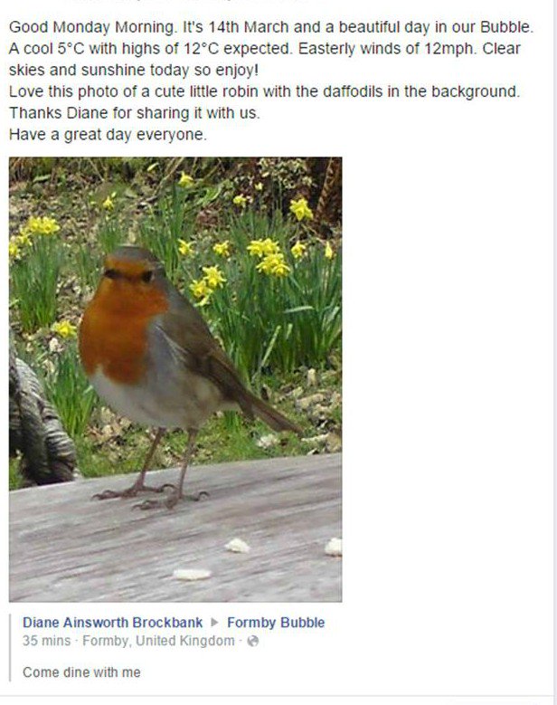 FormbyBubble's tweet image. Good Monday Morning.A beautiful day in #Formby A cool 5°C with clear skies &amp;amp; sunshine today
Photo by Diane Brockbank