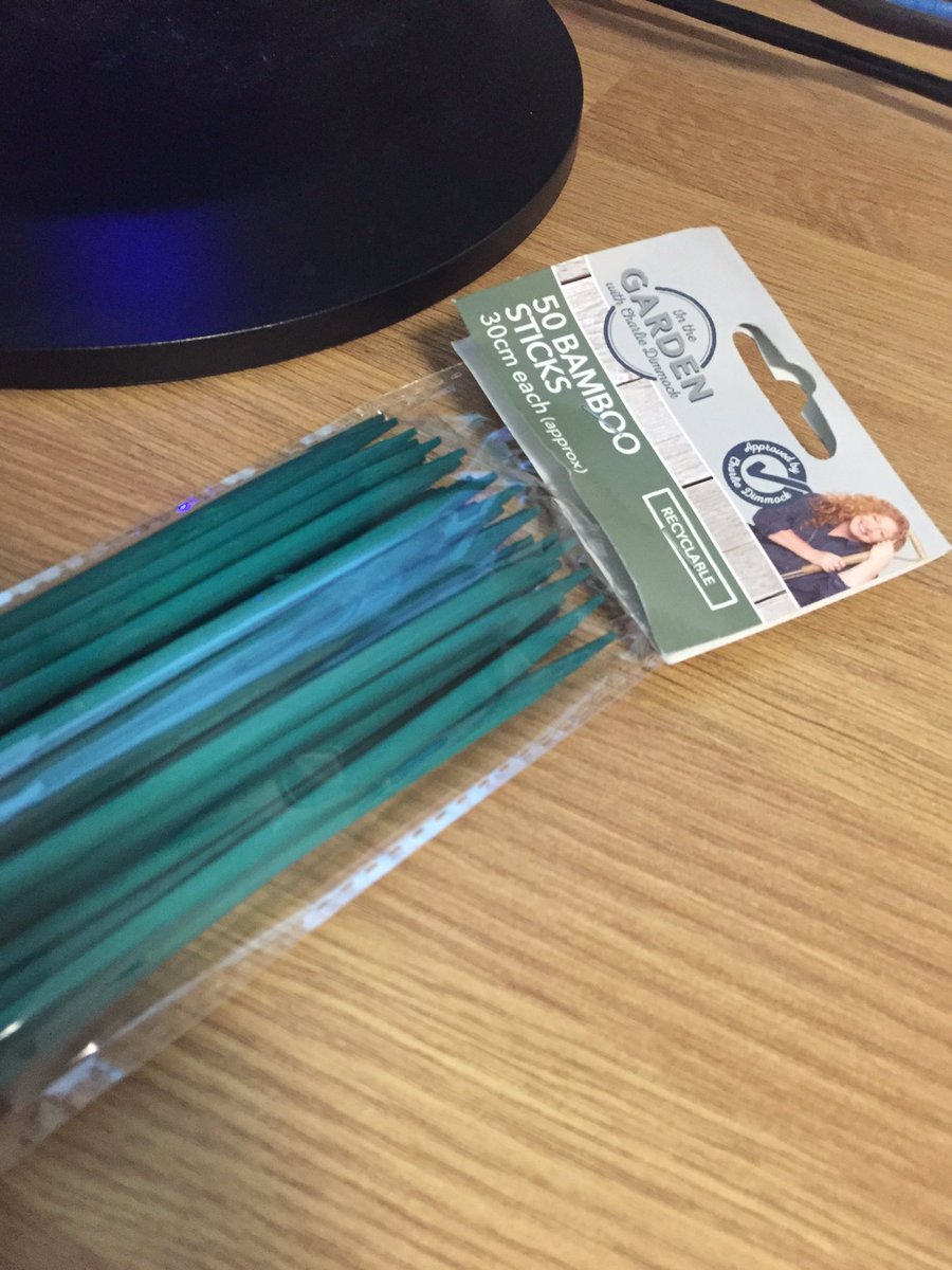 MissJordan_BA's tweet photo. Ready for #poundlandpedagogy with my bamboo garden sticks!!! #mondaymotivation #pimpyourlesson https://t.co/3Njs8fjxlO