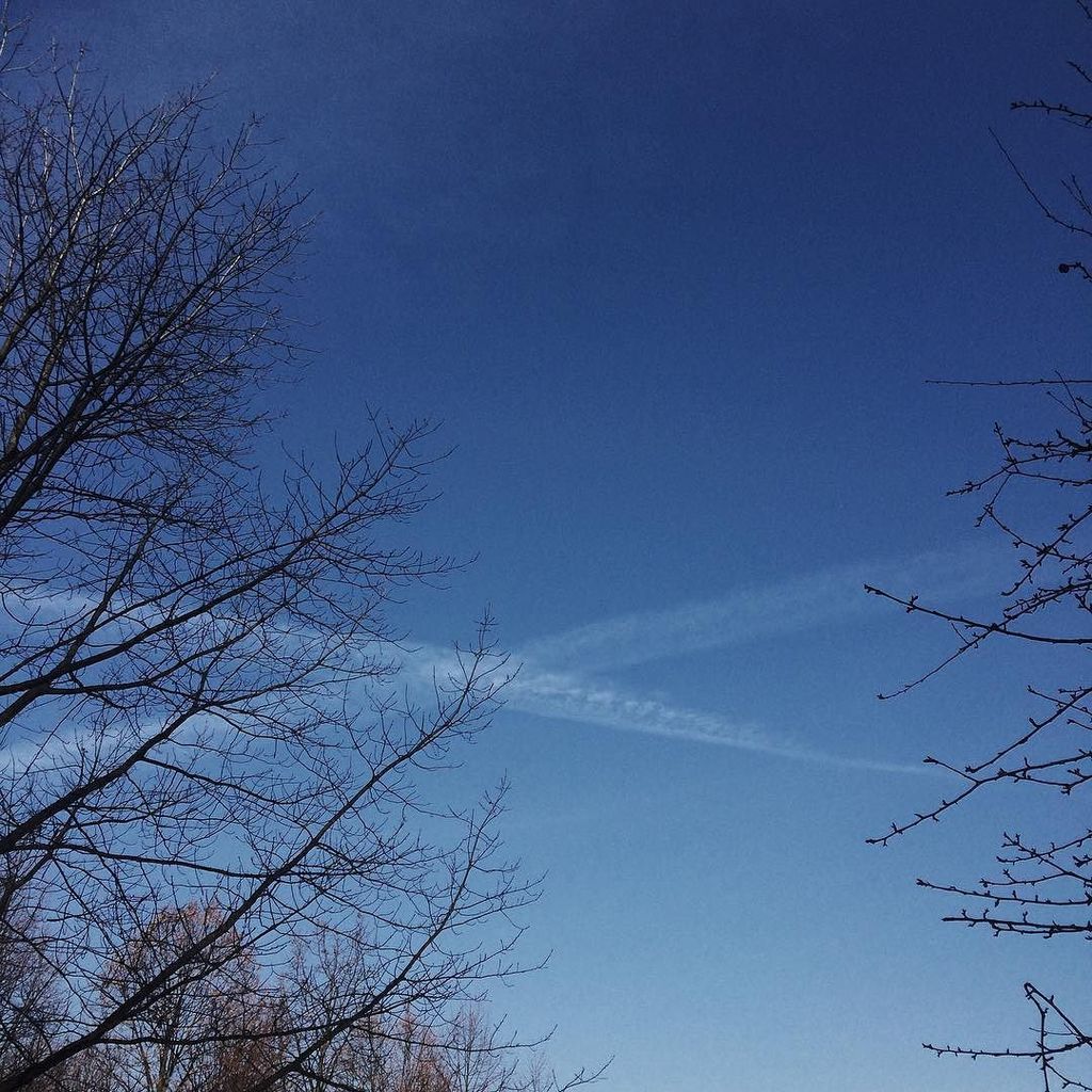 scia_chimica's tweet photo. 💤 eight o’clock #chemtrails #sky #minimalism #minimalPoland #vscocam #waszawawa #artystycz… https://t.co/P0MVksamZ4 https://t.co/DcdGMSMiMF