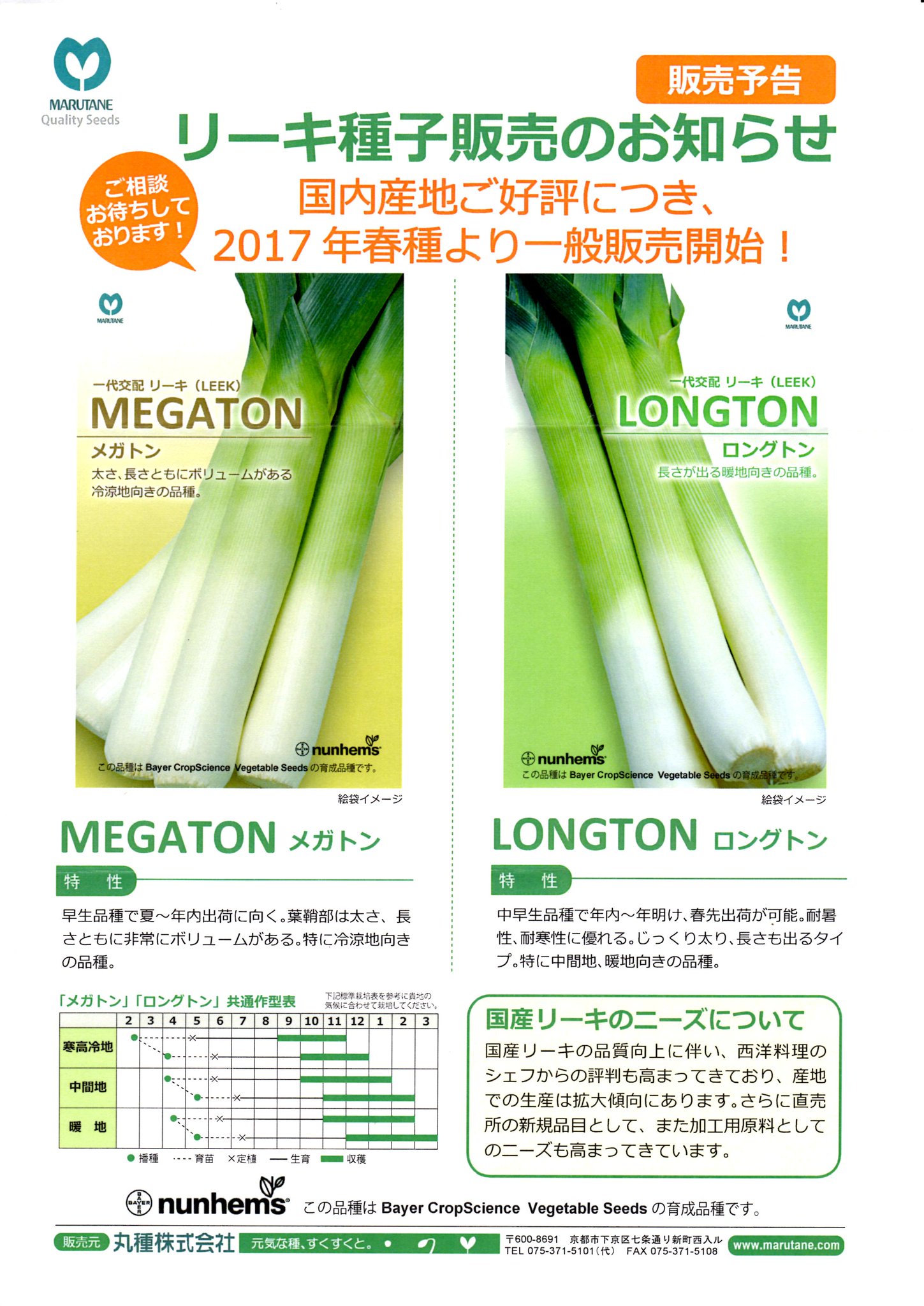 野菜づくりの応援 清水屋種苗園芸 17春より国内育成のリーキ種子が発売 寒地向 メガトン と暖地向け ロングトン 発売元 丸種種苗株式会社 育成元はnunhems ご希望の場合は当店までお問い合わせ下さいませ 1000粒のみ 有償 T Co