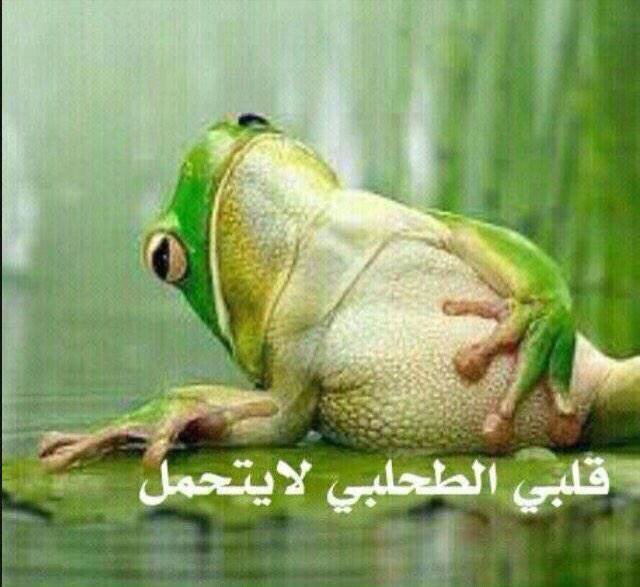 ماجد بن منير tweet media