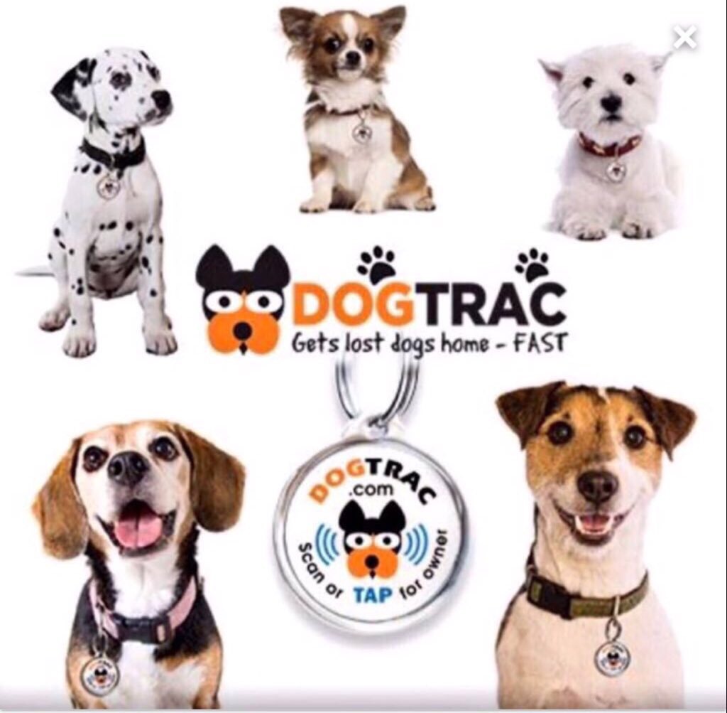 trac_dog's tweet photo. Please RT. We are giving away 10,000 FREE ID Tags, order now at https://t.co/9af62OqHot #dogs #dogsoftwitter #dog https://t.co/P0kAhQ4bV4