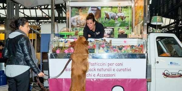greenMe_it's tweet photo. #StreetFood per cani: l'ape car con biscotti e snack per gli amici a quattro zampe - https://t.co/ACrM9j0sJh https://t.co/haic0gtpgn