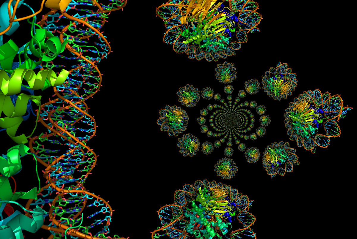 ProteomicsStory's tweet photo. #Protomics Story#. Histone proteins with strands of coiled DNA.
From:https://t.co/VAan6cDxly https://t.co/fiXRhlckKq