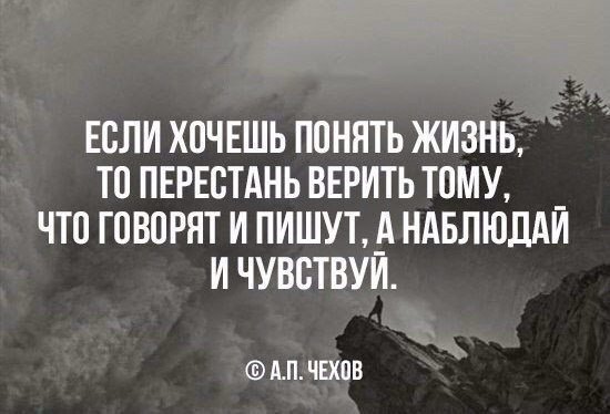 Ембарго tweet media