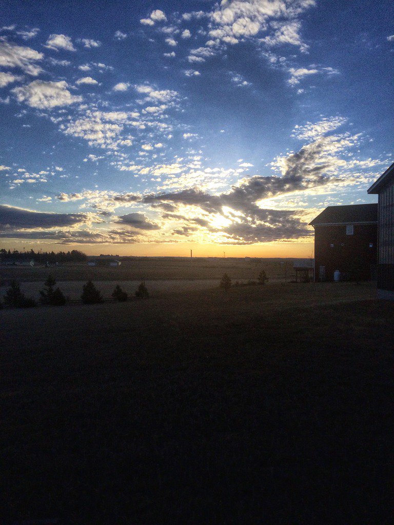 katpinke's tweet image. Sharing #7DaysofNature this wk. Day 1 is from our #ndlegendary yard today. I nominate @MeatCounterMom to share!