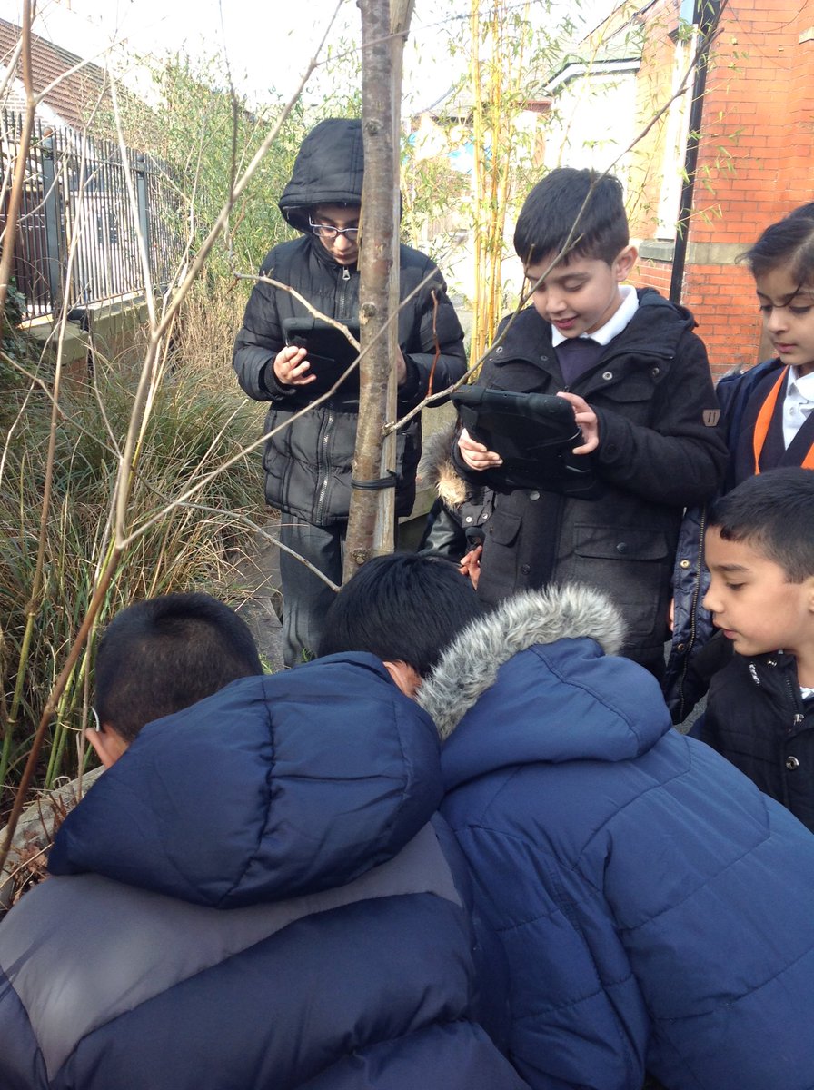 Class 3P Lowerplace tweet media