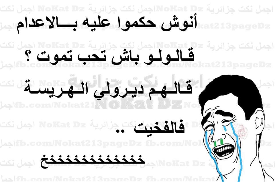 نكت جزائرية مضحكة Snaykadem Twitter