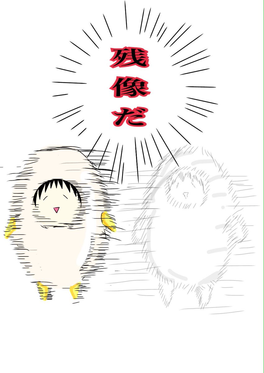 温泉卵ポンちゃん Poncan1008 Twitter