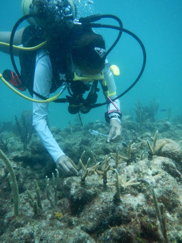 The Ocean Portal tweet media