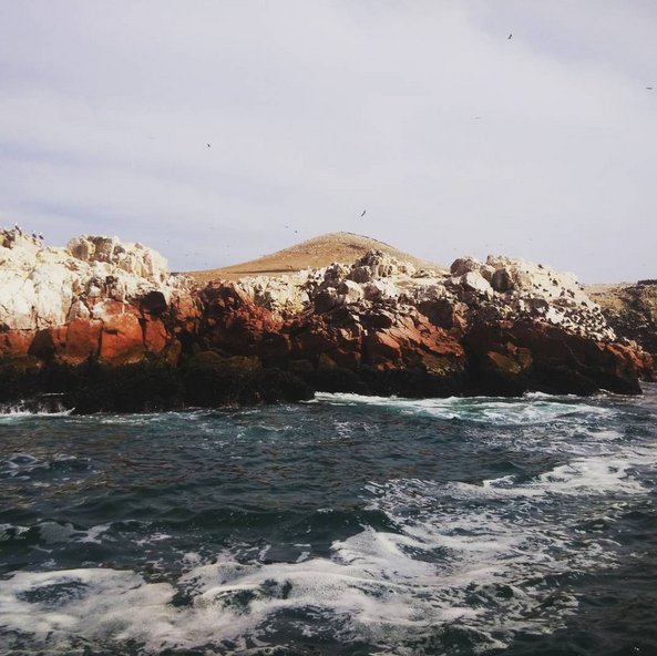 Broker_Fish's tweet photo. If you're into travel Instagram pictures you should definitely check this one out! https://t.co/KRe0kSwIP8 https://t.co/2hHAb5Fb1p