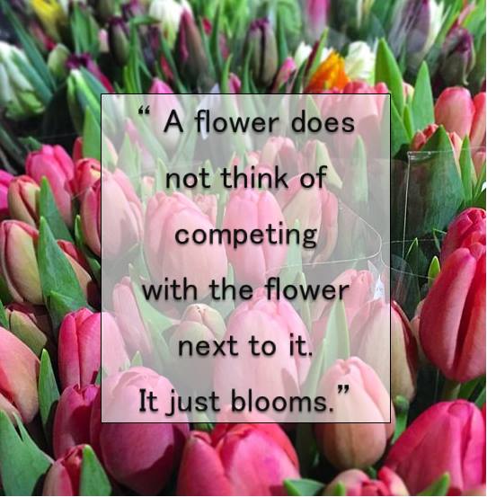 #Happy #Monday 🌷