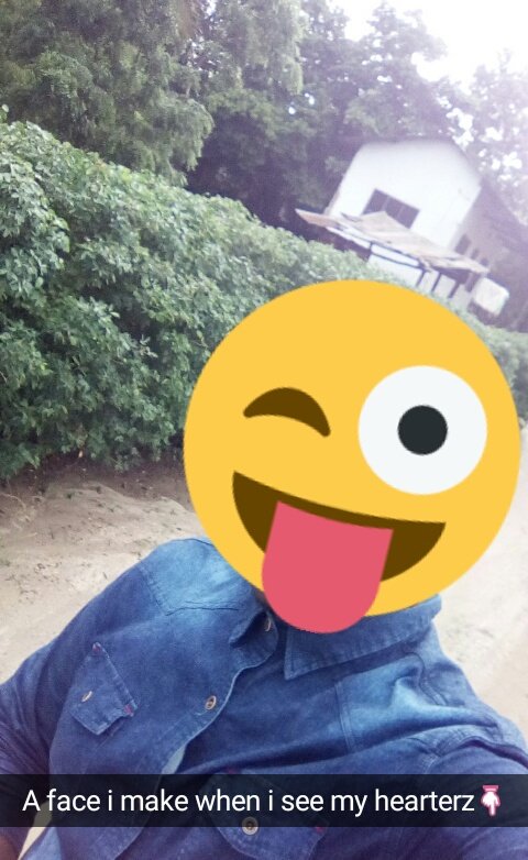 Mike_van_rog255's tweet image. #emojiexpression #BBMI