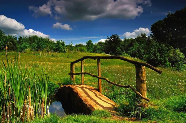 FridaMaha's tweet image. 