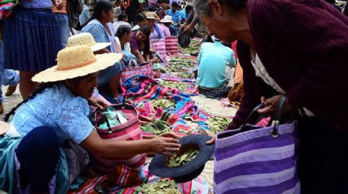 EnlacesBolivia's tweet photo. Evo Morales anunció que Cuba hará 3 nuevos fármacos de la hoja de coca https://t.co/cJmL70EyYg https://t.co/xkoSlOujXr 5