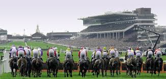 4BUS_BAR's tweet photo. Cheltenham is finally here! we are showing all the racing live! finger food served daily. https://t.co/utB9Ds95p3