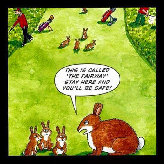 Some might say this is a true Golfing #Statement for me <a href="/abbeygroup/">abbeygroup</a> <a href="/Golf_WalnutTour/">The Walnut Tour</a> <a href="/dbdecor/">Derren Bridge</a> @19thholegolfget