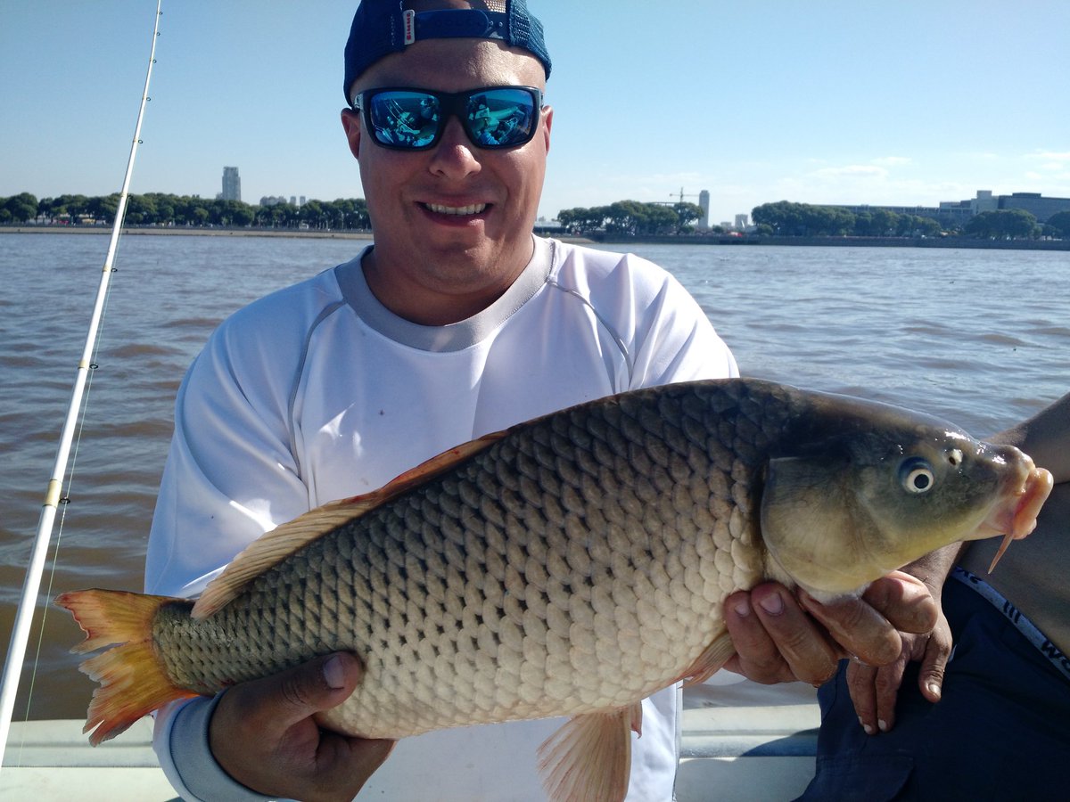Adriandebrito's tweet photo. @Revista_Weekend muy buena pesca de bogas embarcados frente a la costanera porteña https://t.co/8y25qGMggB