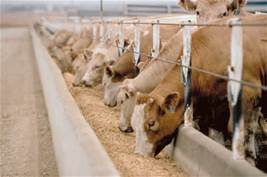 NovusAgro's tweet photo. Nigeria Ranked 40 In 2015 ALLTECH Animal Feed. https://t.co/hwibdCtA1N https://t.co/7acsO7QkzH