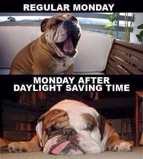 Pretty much....
#GoodDayTB