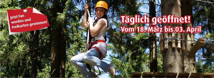 TreeRock (@treerocksolling) on Twitter photo 