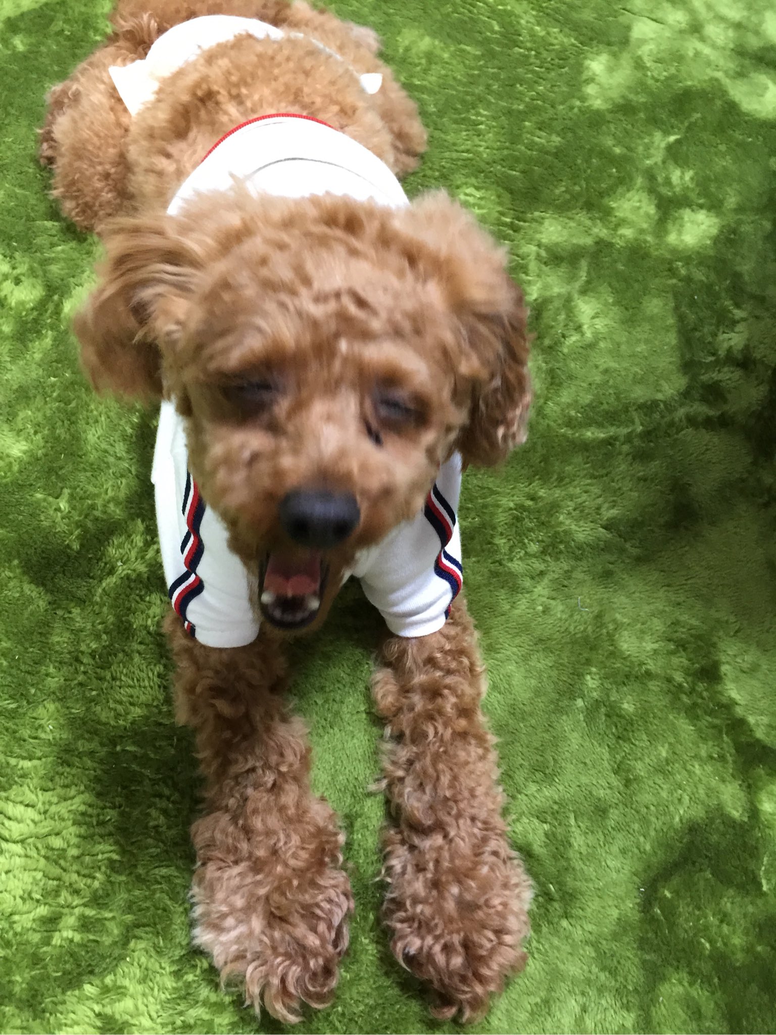 Ema Ematn0917 Twitter